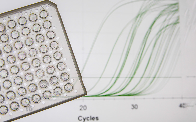 Close up view of a tube rack overlaying a blurred image of a screen displaying a graph with several green lines; x axis is labelled Cycles