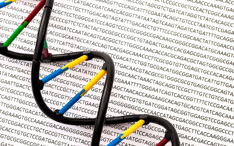 DNA double helix and genome sequence concept for molecular biochemistry backgrounds, genetic code and gene research