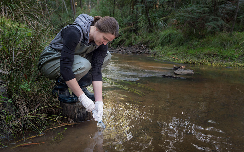 Scientist taking water sample